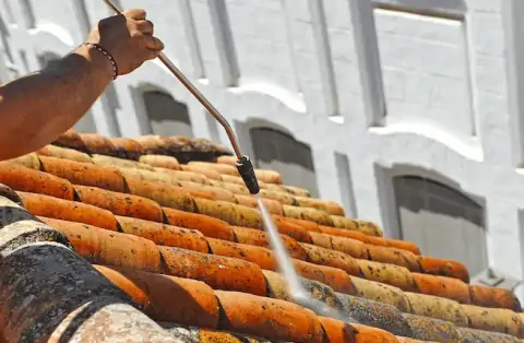 Nettoyage de toitures - Beaumont-Louestault